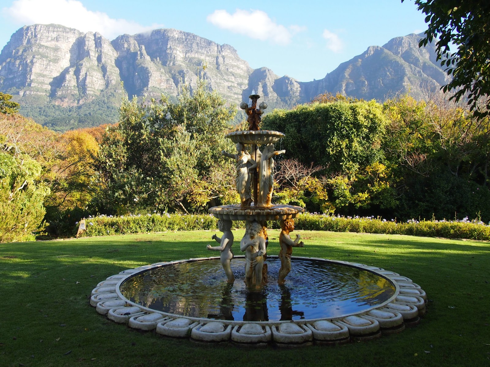 the lime walk Home from Home The Vineyard Hotel, Cape Town