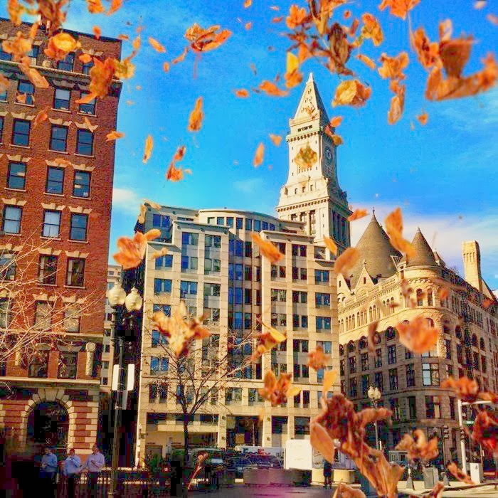 Top 5 Things to Do in Boston, MA RedWeek Blog RedWeek