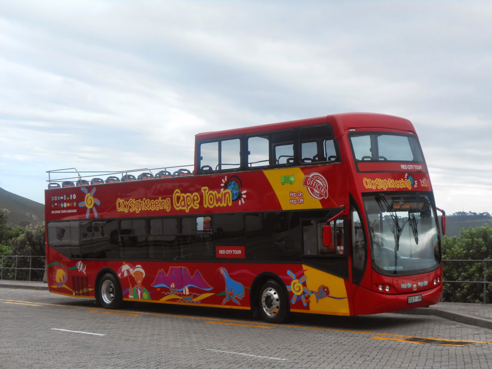 Cape Town City Bus 10 tips for the best ever Cape Town experience